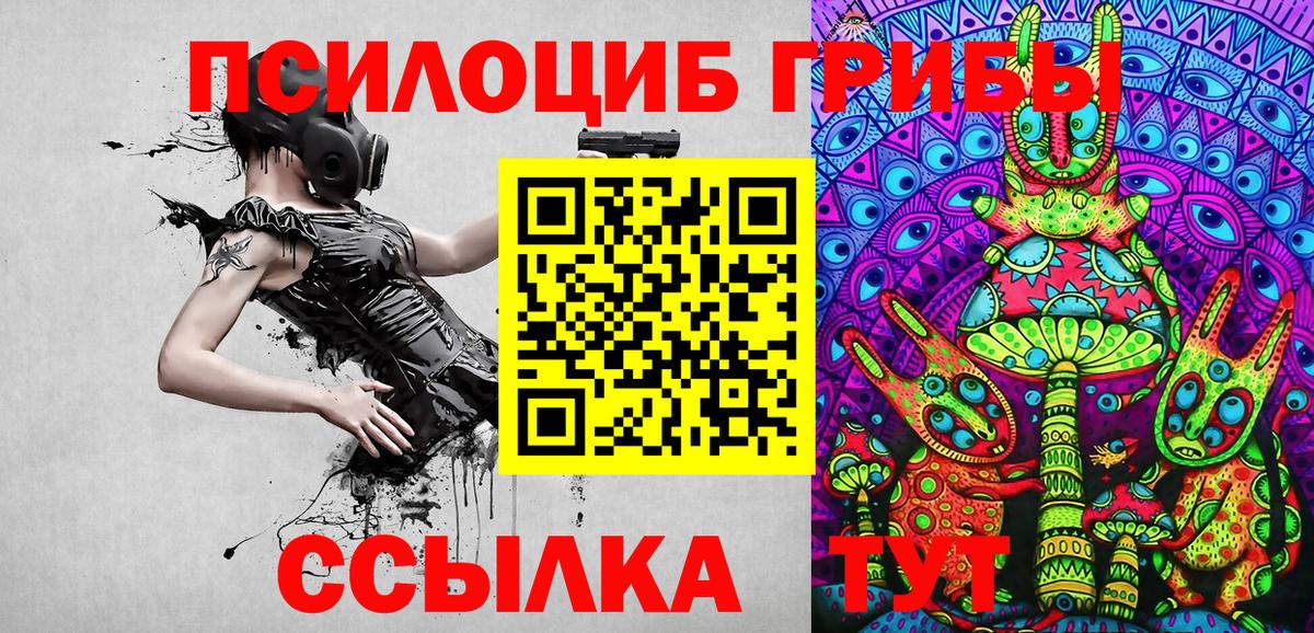 Псилоцибиновые грибы Psilocybe Стрежевой